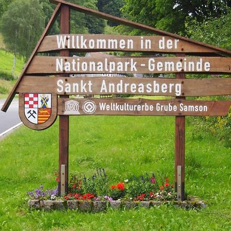 Wohnung Julius 1 Sankt Andreasberg Dış mekan fotoğraf
